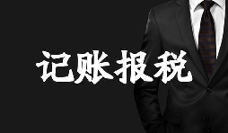 新成立的公司記賬報稅方面有哪些選擇？