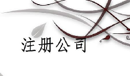 注冊(cè)公司為什么推薦找代理注冊(cè)公司的機(jī)構(gòu)呢？