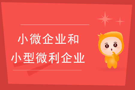 小微企業(yè)和小型微利企業(yè)有什么區(qū)別？
