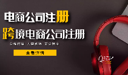 【注冊(cè)公司】注冊(cè)電商公司如何取公司名稱？